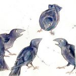 Crow Calls twitter